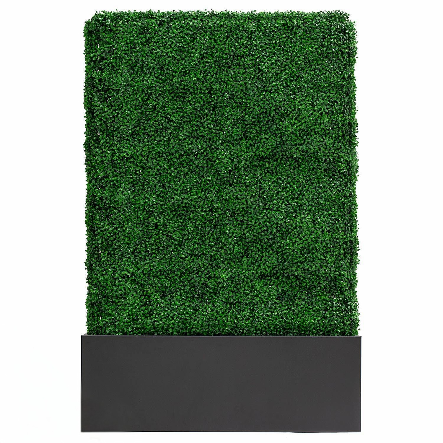 Hedge wall black steel base Hedge wall black steel base
